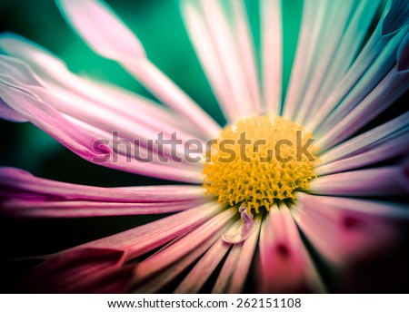 Similar – Image, Stock Photo teletom magenta