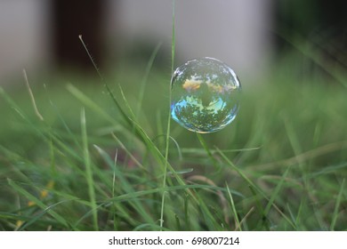 Soft focus Soap bubbles on green grass with rainbow reflections. Toy/decoration for Christmas, new year and Halloween background