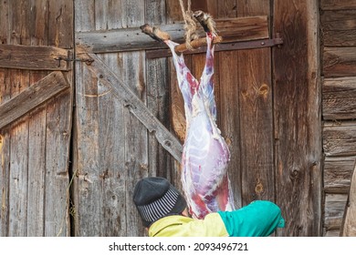 Soft Focus. Street Lighting. A Man With A Knife Removes The Skin From A Dead Animal. Rural Area