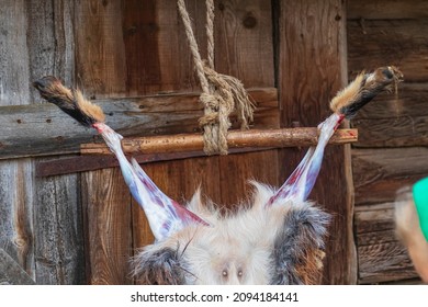 Soft Focus. Street Lighting. A Man With A Knife Removes The Skin From A Dead Animal. Rural Area