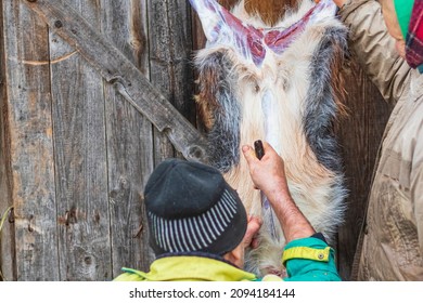 Soft Focus. Street Lighting. A Man With A Knife Removes The Skin From A Dead Animal. Rural Area