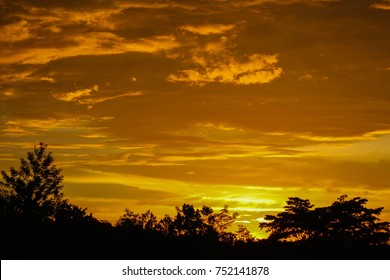soft focus sunset with trees 