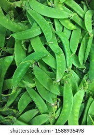 Soft focus of texture and detail of fresh green sweet sugar pea pile