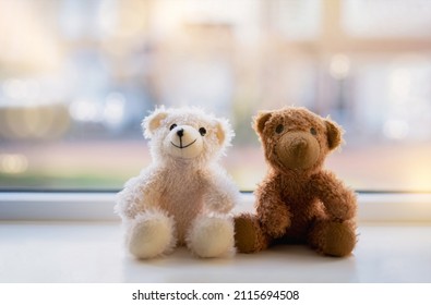 Soft focus Two Happy teddy bear sitting next to window with morning light shining, Cute soft toys brown and white bear sitting together on sunny day, Concept for Valentines day, Mother day,Father day