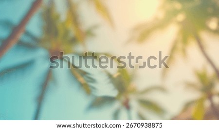 A soft focus view of palm trees, bathed in warm sunlight, showcasing a serene and tropical atmosphere.