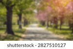 A soft focus view of a park pathway lined with trees, some in bloom with pink flowers, bathed in warm sunlight.