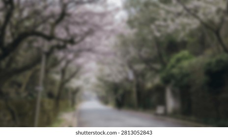 A soft focus view of a paved road winding through a tunnel of trees with delicate pink cherry blossoms in full bloom during spring.