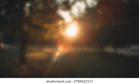 A soft focus view of the sun setting behind trees in a park with warm golden light and lens flare effects in a natural outdoor setting.