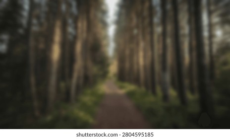 A soft focus view of a tranquil forest path, surrounded by tall green trees and dappled sunlight. The blurred effect creates a dreamy, ethereal atmosphere, perfect for backgrounds or contemplative themes.