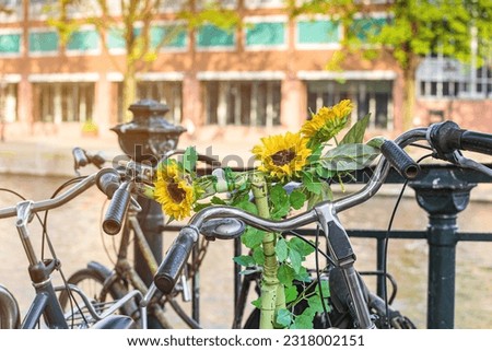 soft focus of vintage bicycle parking along the street. 