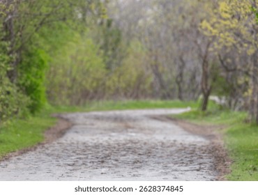 Soft focus of a winding path through mystery spring forest