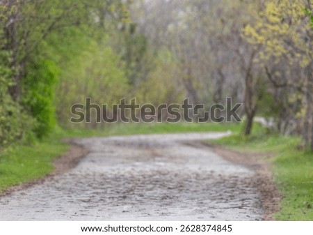 Soft focus of a winding path through mystery spring forest