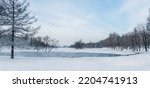 Soft focus. Winter lake with patterns on the snow cover of the water and lots of flying gulls in the city park on a snowy day. Panoramic view. State Museum Reserve Gatchina. Russia.
