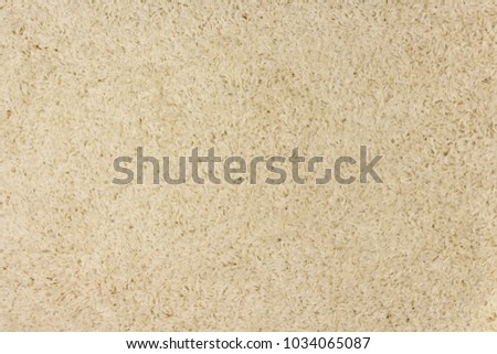 Soft furry carpet texture