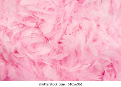 Premium Photo  Pink feathers on a white background