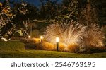 Soft glowing LED lights illuminate a garden pathway lined with ornamental grasses, creating a serene atmosphere during the night.