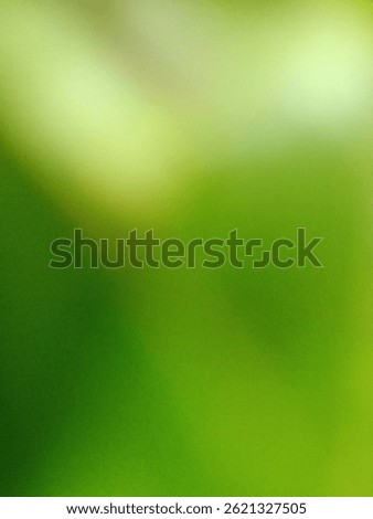 Soft green blurred background with subtle light gradients, evoking a natural and soothing mood.

