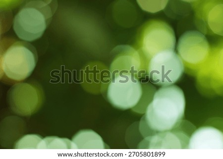 Soft green bokeh circles create a tranquil abstract background evoking a serene natural ambiance and a gentle diffused light effect.