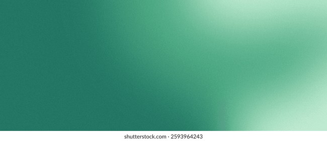 Soft green gradient  background with light and shadow, with a gentle textured grain .