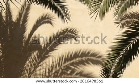 Soft Green Leaf Shadow Summer Background