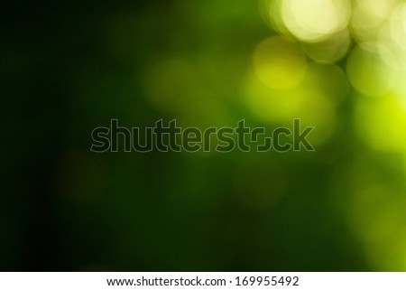 Soft green natural bokeh background