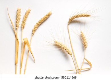 Soft And Hard Wheat Composition On White Cardboard, Close Up