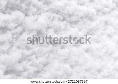 Soft layers of snow create a white blanket on the ground. The winter scene shows flakes scattered evenly under sunlight. The snow emphasizes the cold season.