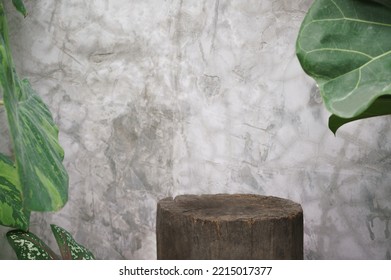 Soft Light Empty Old Wood Stump In Tropical Garden Fresh Green Plant Leaf Crack Concrete Wall Background With Copy Space.organic Natural Product Present Display,vintage Or Retro Promotion Design.