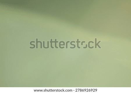 Soft Light Green Abstract Gradient for Premium Minimal Organic Calm Commercial Background
