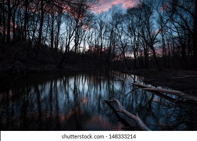 Soft Light Reflecting In A South Jersey Pond