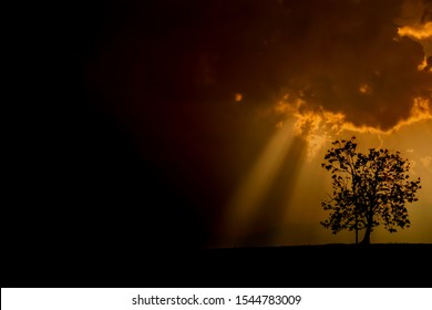 Soft light and shadow,Dark gloomy landscapes in the evening before Halloween darkened, causing rain clouds in the sky to form scary shadows and sunset lights.Halloween spirit and beliefs concepts