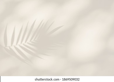 Soft Light Shadows Of Tropical Leaves And Foliage Background. Abstract Concept Backdrop 