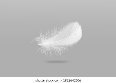 Soft And Light Single White Feather Falling Down In The Air.