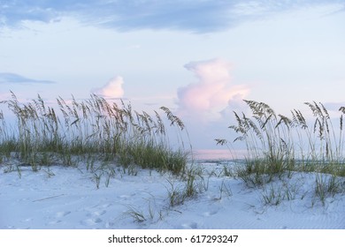 Soft muted blues and pinks adorn a pristine Florida beach at sunset, complete with white sand dunes and sea oats.