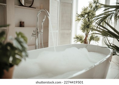 Soft native hues organic shapes look of bathroom with big window oval bathtub in neutrals tones. Green palm plants candles bubblebath leasure and relaxation skin selfcare wellness luxury living - Powered by Shutterstock