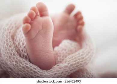 Download Newborn Feet High Res Stock Images Shutterstock