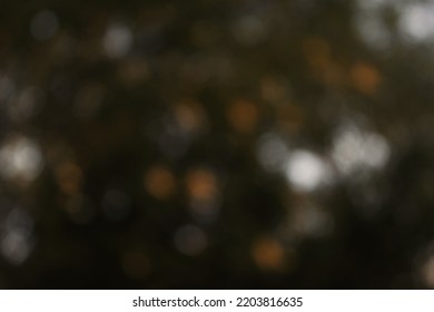 Soft Orange And White Bokeh With Green And Black Dark Areas. Bright Spots Of Light Contrast Strongly With The Dark Areas In The Photo. Defocused Setting Sun Shining Through The Leaves Of The Tree.