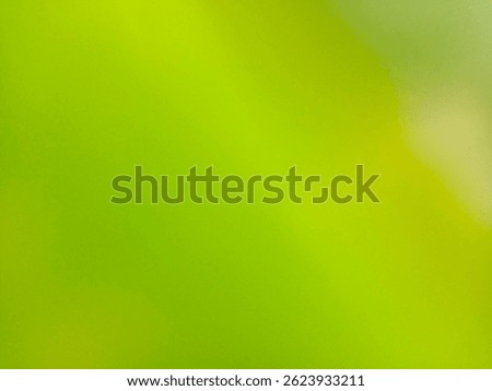 a soft, out of focus gradient of green hues, transitioning smoothly from a lighter, almost yellowish green in some areas to a deeper, true green in others.
