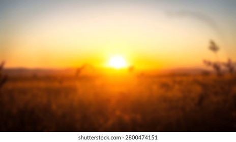 A soft out of focus view of a warm golden sunset shining over a grassy field during evening