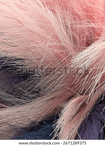 Soft pink feathers drift in layers, tinged with deep plum shadows. Wispy strands catch the light, creating a dreamy texture that feels both delicate and dramatic—like a whisper wrapped in velvet.