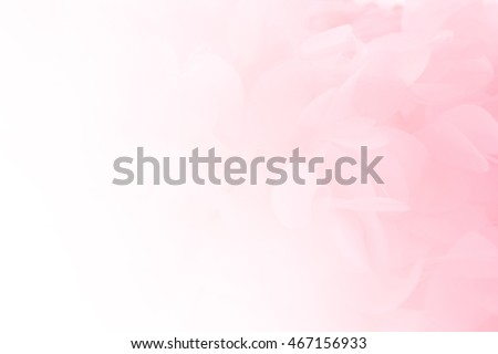 Soft pink pastels background, wedding, anniversary, valentines theme and concept