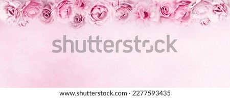 soft pink and purple roses banner or header design background with  copy space for text 