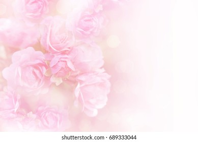 Soft Pink Roses Flower Vintage Background Stock Photo 689333044 ...