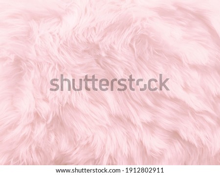 Soft pink sheep fur textured in pastel color for background