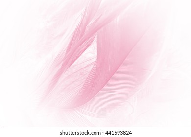 weiche rosafarbene Farbtrends bei Hühnerfedern, strukturierter Hintergrund