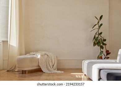 Soft Plaid On Oval Shaped Ottoman Bench In Light Minimalist Styled Living Room With Comfortable Sofa And Fresh Potted Plant