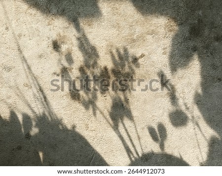 Soft Plant Shadows on Rustic Concrete Surface in Morning Light