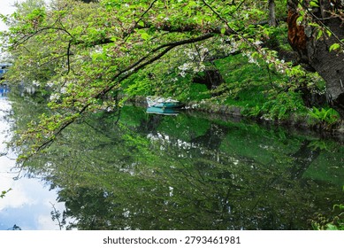 Soft reflections of the surrounding trees and a small rowboat moored at the water’s edge.