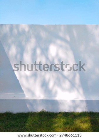 Soft shadow of tree branches on a clean white wall with green grass below under bright natural sunlight. Minimal outdoor background with copy space, calm abstract nature texture.