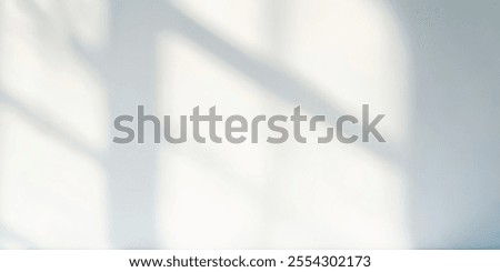 Soft shadows cast on a light-colored wall create a serene atmosphere.